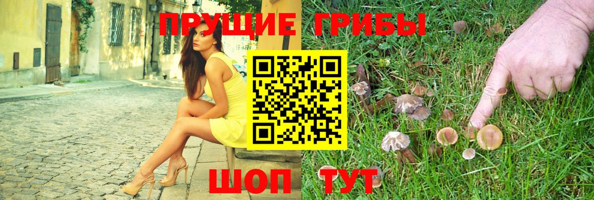 Псилоцибиновые грибы Psilocybine cubensis  Галлюциногенные грибы MAGIC MUSHROOMS  Вход с VPN  Краснодар 
